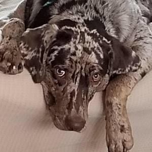 Meet your Posher, Rick